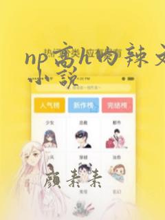 np高h肉辣文小说