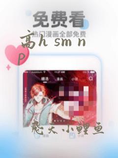 高h sm np