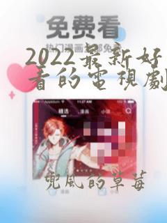 2022最新好看的电视剧