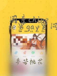 国产chinese男gay男网站