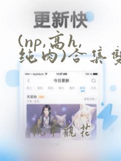 (np,高h,纯肉)合集双性