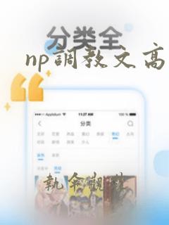 np调教文高h