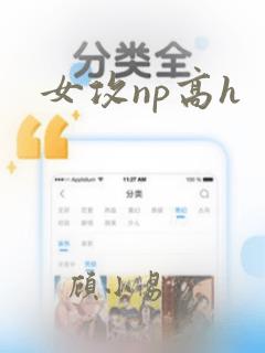 女攻np高h