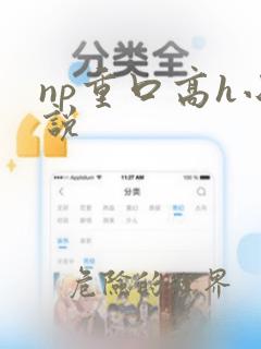 np重口高h小说