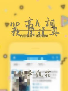 np 高h 调教 用道具