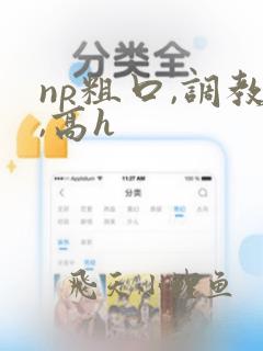 np粗口,调教,高h