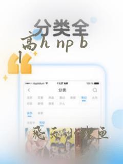 高h np bl