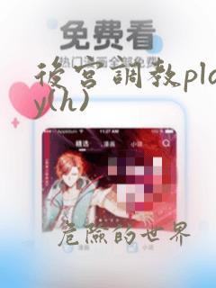 后宫调教play(h)