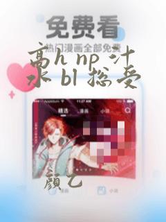 高h np 汁水 bl 总受