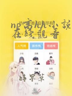 np高hh小说在线观看