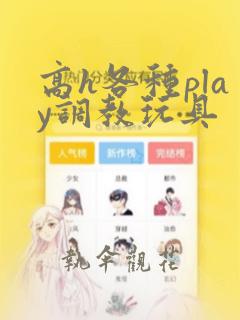 高h各种play调教玩具