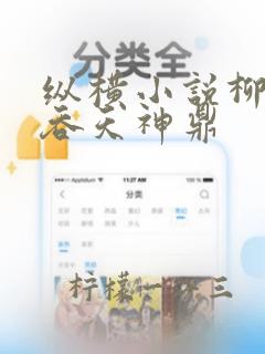 纵横小说柳无邪吞天神鼎