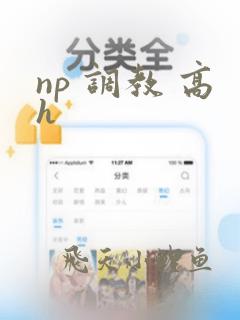 np 调教 高h