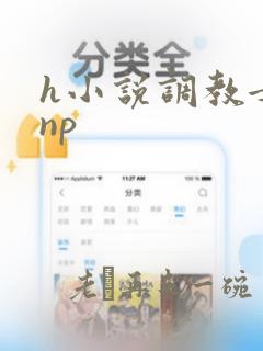 h小说调教女奴np