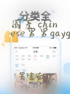 国产 chinese男男gaygay网站