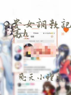 贵女调教记np高h