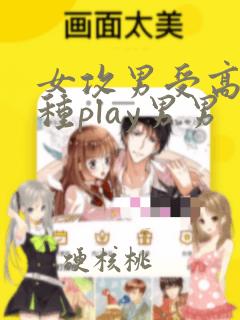 女攻男受高h各种play男男