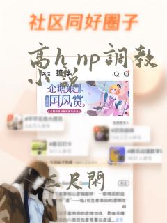 高h np调教小说