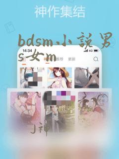 bdsm小说男s女m