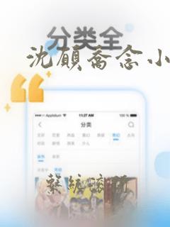 沈愿乔念小说