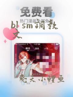 bl sm调教文