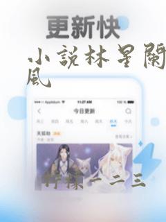 小说林星阑闻聿风