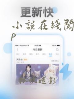 小说在线阅读np