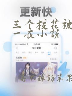 三个校花被蹂躏一夜小说