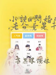 小说w闪婚成宠,老公竟是千亿大佬》