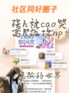 强h被cao哭高h总攻np催眠