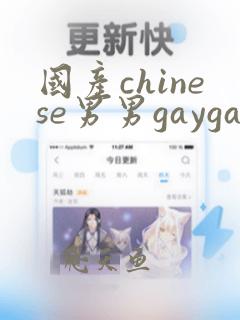 国产chinese男男gaygay无套网站