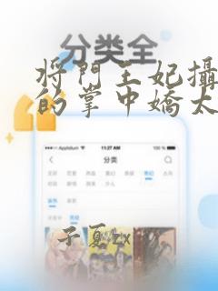 将门王妃摄政王的掌中娇太魅免费阅读