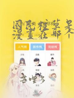 国民校草是女生漫画在哪个软件里免费