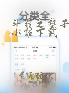 斗罗之双子斗罗小说下载