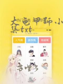 大龟甲师小说全集txt