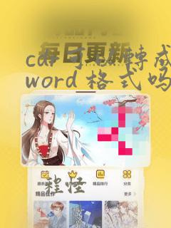 cdr可以转成word 格式吗