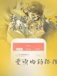 新婚夜被c了闺蜜h小说