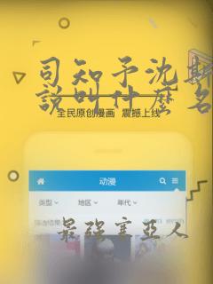 司知予沈斯年小说叫什么名字