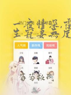 一夜情深,霍先生宠妻无度完整版