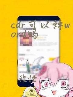 cdr可以转word吗