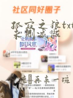 孤寂之狼txt未删减版