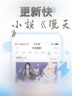 小说《猎天争锋》