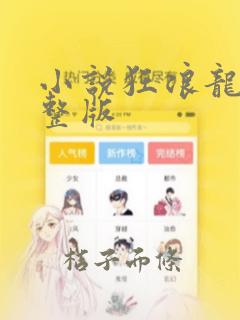 小说狂浪龙婿完整版