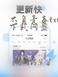 不负青春txt下载网盘