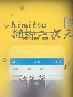 himitsu捆绑二次元