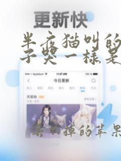 半夜猫叫的跟孩子哭一样是怎么回事