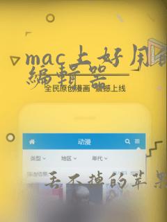 mac上好用的编辑器