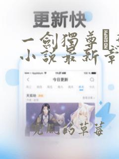 一剑独尊·叶玄小说最新章节列表