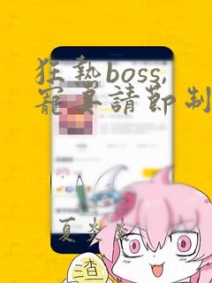 狂热boss,宠妻请节制小说