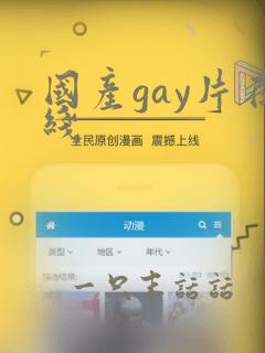 国产gay片在线